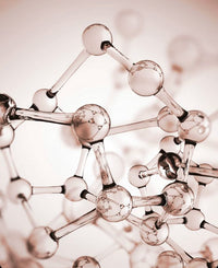 Phospholipids