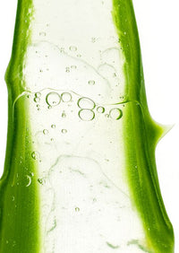 Aloe Vera Extract